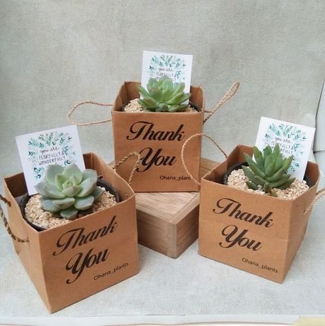 Plant Wedding Favors, Kaktus Dan Sukulen, Succulent Wedding Favors, Flower Gift Ideas, Succulent Gifts, בר מצווה, Wedding Gifts For Guests, Wedding Souvenirs, Cactus Y Suculentas