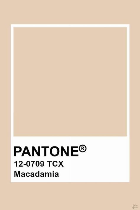 Tawny Autumn, Caramel Wedding, Cool Winter Palette, Colour Pantone, Pantone Color Chart, Pantone Colours, Palette Challenge, Pantone Colour Palettes, Winter Palette