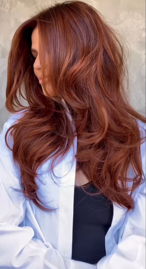 Red Violet Copper Hair, Old Money Copper Hair, Coppery Auburn Hair, Cooper Auburn Hair Color, Dark Strawberry Brown Hair, Hair Color For Pink Skin Tone, Medium Red Brown Hair, Dark Amber Hair, Redish Brownish Hair