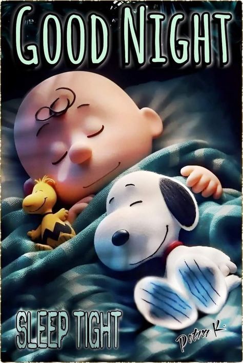 Happy Snoopy, Goodnight Snoopy, Good Night Hug, Snoopy Drawing, Good Night Prayer Quotes, Good Morning Snoopy, Good Night Sleep Tight, Good Night Love Messages, Snoopy Cartoon