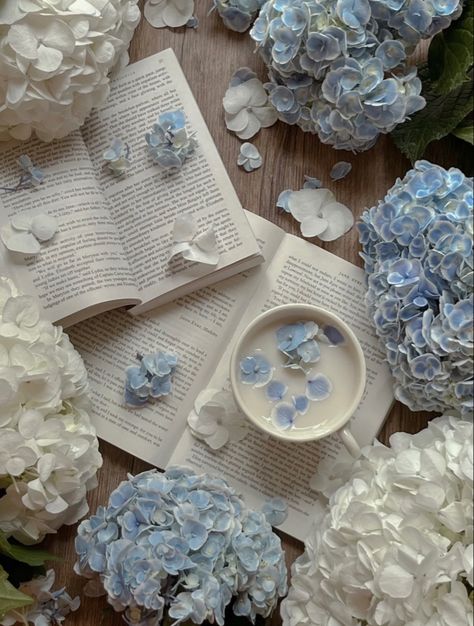 Telegram Wallpaper, Am Wallpaper, Wallpaper Edgy, Frühling Wallpaper, Whats Wallpaper, Blue Flower Wallpaper, Wallpaper Homescreen, Desain Quilling, Wallpaper Retro