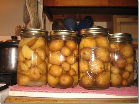 To pressure can Potatoes:  (are a low acid food and must be pressured canned  to destroy all bacteria and etc.)  Small ones:  just wash well and pack loosely in jars. Large ones: Peel and cut into a brine water ( 1 teaspoon salt to a quart of water) , then rinse and pack loosely in to jars. Then add 1 teaspoon of salt per quart and fill with water. Process 40 minutes for quarts at 15 lbs. Pickled Items, Homemade Staples, Canning Potatoes, Preserving Vegetables, Canned Potatoes, Canning 101, Preserving Foods, Canning Fruit, Canned Foods