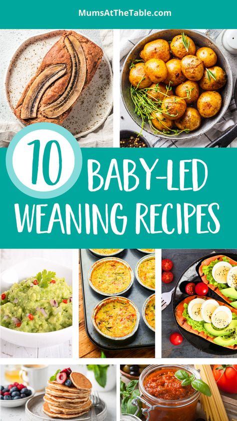 7 different images of foods suitable for baby-led weaning Blw First Foods, Baby Led Weaning First Foods, Blw Recipes, Baby Led Weaning Recipes, First Foods, Weaning Recipes, Led Weaning, Baby Led Weaning, At The Table