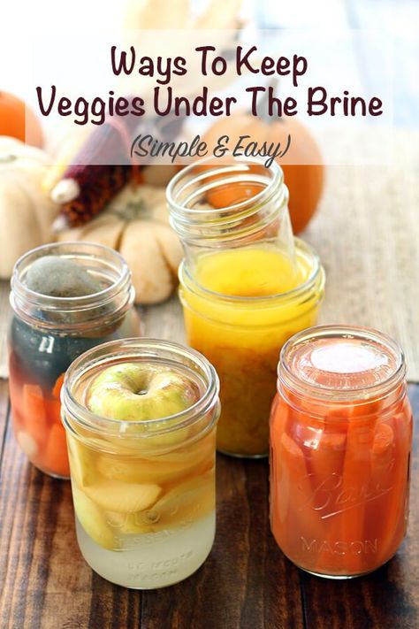 Can't get your sauerkraut or pickles to stay under the brine? Here are ways to keep veggies under the brine. Simple and easy. Fermented Vegetables Recipes, Fermented Recipes, Fermenting Weights, Cultured Food, Fermented Veggies, Fermented Pickles, Healthy Probiotics, Fermentation Recipes, Fermented Vegetables