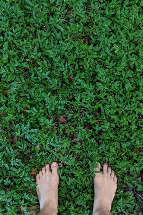 Get outside, #gobarefoot. Enjoy the rewards. #barefoot #grounding #balance #earth #bemorehuman Earth Grounding Aesthetic, Grounding Pictures, Grounded Photography, Playing Outside Aesthetic, Healing Photos Photography, Save The Earth Aesthetic, Primal Aesthetic, Meditation Outside, Grounding Aesthetic