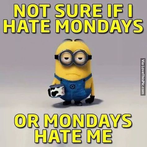 Monday Sucks, Minions 2, Friday Meme, Me Pictures, Funny Day Quotes, I Hate Mondays, Morning Memes, Monday Memes, Monday Humor