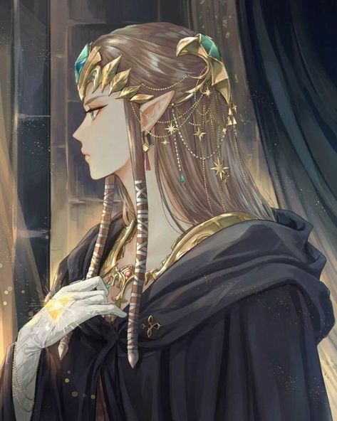 Twilight Princess, Anime Character, Princess Zelda, Zelda, On Twitter, Twitter, Anime, Hair, Black