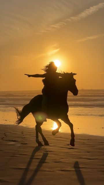 Horse Riding Vacations, Vision Board Aesthetic Pictures Home, Cute Wallpapers Horse, Horse Asethic Pictures, Horse Back Riding Asethic, Essaouira Aesthetic, Cute Horse Wallpapers, Shifting Aesthetic, Equestrian Pictures