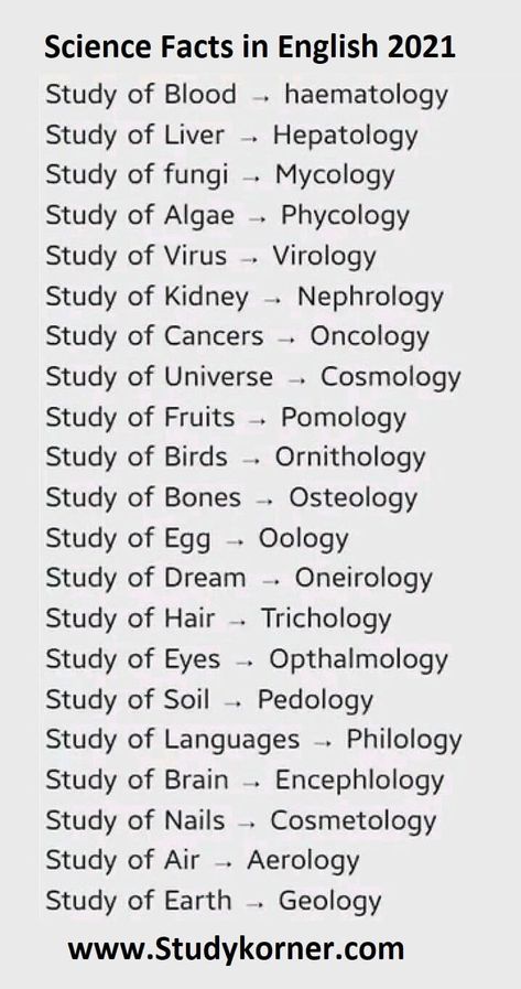 Facts In English, 206 Bones, Nursing Cheat Sheet, Nursing Cheat, Public Speaking Tips, Nursing School Tips, Vocabulary List, Presentation Skills, Nursing Notes