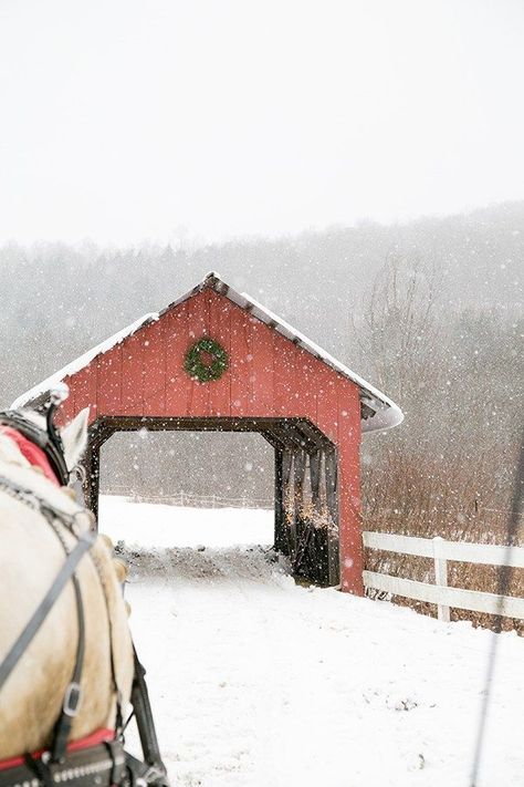 Vermont Winter, New England Aesthetic, Vermont Vacation, Stowe Vt, England Winter, Amigurumi For Beginners, Stowe Vermont, Winter Beauty, Sleigh Ride