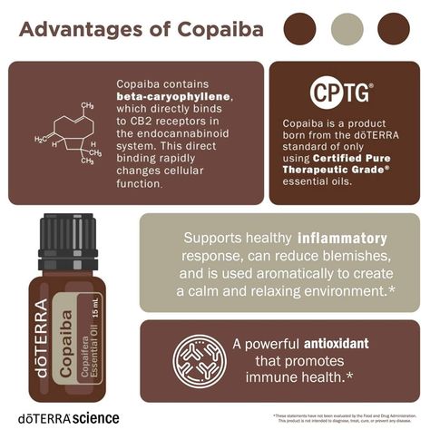 Doterra Copaiba, Copaiba Oil, Essential Oils Video, Copaiba Essential Oil, Essential Oil Safety, Essential Oil Companies, What Are Essential Oils, Endocannabinoid System, Doterra Oils