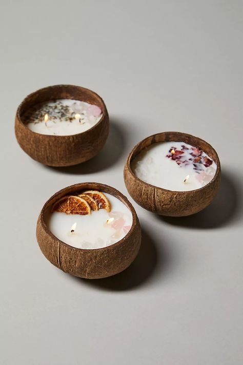 Coconut Bowls Botanical Candle Candles Aesthetic Cozy, Outfits Vintage Aesthetic, Coconut Aesthetic, Candle Bowl, Botanical Candle, 2023 Accessories, Aesthetic Candle, Coconut Bowls, Diy Coconut