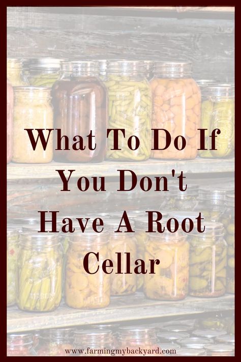 Greenhouse With Root Cellar, Simple Root Cellar, Refrigerator Root Cellar, Homesteading Food Storage, Diy Root Cellar Above Ground, Cold Storage Room Ideas Root Cellar, Above Ground Cellar, Small Root Cellar Ideas, Building A Root Cellar Into A Hill