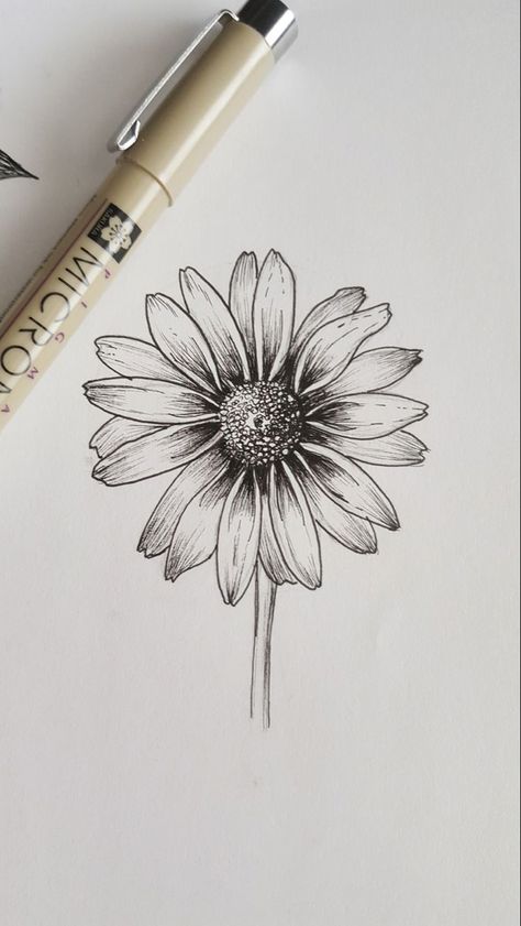 Flower Ink Sketch, Flower Drawing Fineliner, Flowers Pen Art, Things To Draw With Fineliners, Black Pencil Art Drawings, Fine Liners Pen Art, Micron Pen Flowers, Pen Flowers Drawing, Pencil Flower Sketch