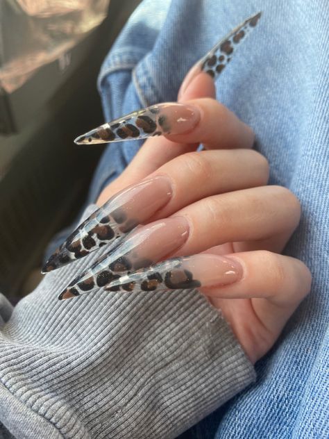 long stiletto nails gel x baby boomer Leopard Stiletto Nails, Sharp Nails, Retro Nails, Cheetah Nails, Punk Nails, Drip Nails, Simple Acrylic Nails, Dope Nail Designs, Leopard Nails