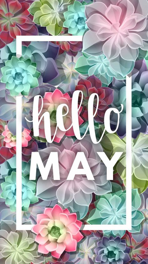 Aesthetic May Wallpaper, May Wallpaper, Succulents Wallpaper, Neuer Monat, Frühling Wallpaper, 2019 Wallpaper, Colorful Succulents, Hello May, Apple Watch Wallpaper