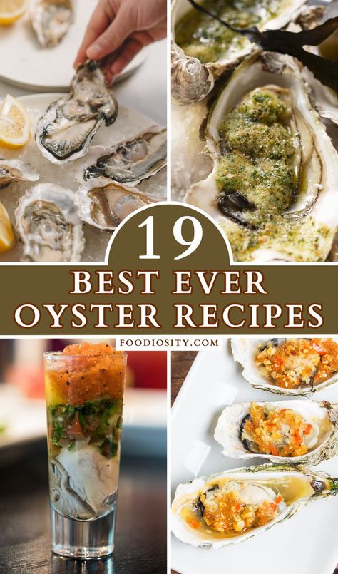 Baked Oyster Recipes, Broiled Oysters, Cooked Oysters, Seafood Dish Recipes, Grilled Seafood Recipes, Oyster Roast, Grilled Oysters, Oyster Recipes, Seafood Recipes Healthy