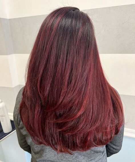 Vivid Light Burgundy Color for Brunettes Dark Red Highlights In Light Brown Hair, Maroon Hair Highlights, Red Brown Highlights, Dark Red Highlights, Shades Of Burgundy Hair, Burgundy Shades, Burgundy Hair Color, Maroon Hair, Light Burgundy