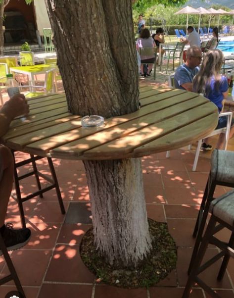 Bar Around Tree Trunk, Picnic Table Around Tree, Sitting Area Around Tree, Porch Around Tree, Bar Around Tree, Tree Sitting Area, Sitting Area Under Tree, Table Around Tree, Tranquil Garden Ideas