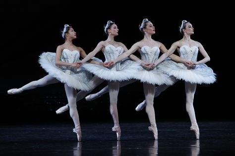 Swan Lake Ballet Swan Lake, Enchanted Lake, Swan Lake Ballet, Ballet Images, Australian Ballet, Ballet Poses, Ballet Photos, Classical Ballet, Ballet Photography