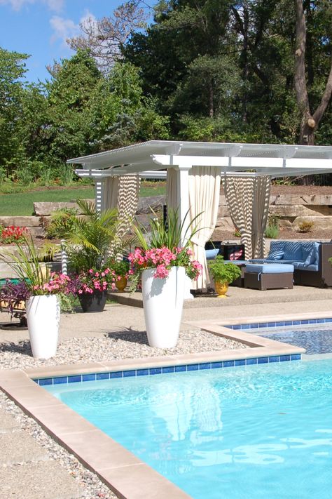 Backyard Garden Designs, Pool Styles, Unique Backyard, Outdoor Yard Ideas, Pool Pergola, Yard Ideas Backyard, Heirloom Rings, Pool Landscape Design, Backyard Pool Landscaping