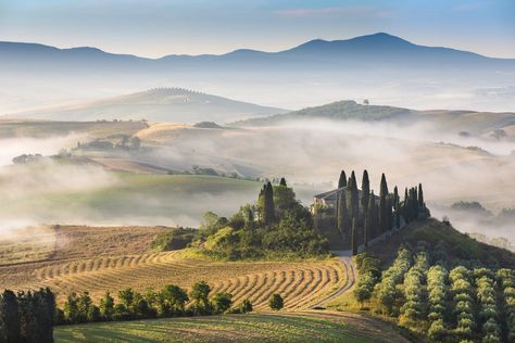 Podere Belvedere, Val D'Orcia, Italy Seceda Peak Italy, Italy Horizontal Photography, Vicenza Italy Photography, Breuil Cervinia Italy, Val D’orcia Tuscany, German Dogs, Val D Orcia, Tuscan Landscaping, Local Farm