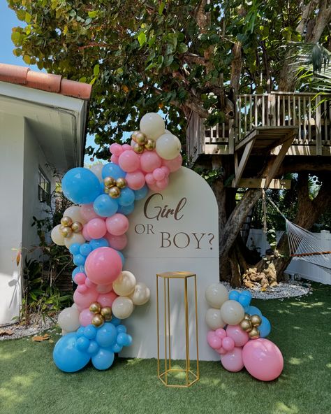 What will it be? 🙈 Classic Gender Reveal decoration 🩷🩵 #balloongarland #birthdaypartyballoon #miamibirthdayparty #southflbirthdayparty #southflorida #birthdaycake #birthdaygirl #birthdayboy #genderrevealdecor #babyshower #babyshowerballoons #babyshowerdecorations #graduationparty #birthdaypartyballoondecor #birthdayideas #marqueenumber #southfloridaballoons #livelyevents #balloonsmallbusiness #balloonarrangement #babyboy #babygirl Gender Reveal Ideas Simple, Gender Reveal Backdrop Ideas, Classy Gender Reveal, Gender Reveal Ideas For Party Decoration, Small Gender Reveal Ideas, Simple Gender Reveal Ideas, Gender Neutral Nurseries, Reveal Ideas Gender, Gender Reveal Diy