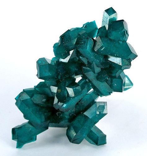 Dioptase  Locality: Kaokoveld Mine, Kaokoveld Plateau, Kunene Region, Namibia.an intense emerald-green to bluish-green copper cyclosilicate  mineral. ════════════════════════════ http://www.alittlemarket.com/boutique/gaby_feerie-132444.html ☞ Gαвy-Féerιe ѕυr ALιттleMαrĸeт   https://www.etsy.com/shop/frenchjewelryvintage?ref=l2-shopheader-name ☞ FrenchJewelryVintage on Etsy http://gabyfeeriefr.tumblr.com/archive ☞ Bijoux / Jewelry sur Tumblr Dioptase Crystal, Tooth Enamel, Geology Rocks, Pretty Rocks, Cool Rocks, Inner Healing, Beautiful Rocks, Green Copper, Bluish Green