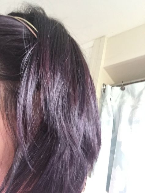 Deep purple-tinted hair || photo credit: me/Cara D. Purple Tinted Brown Hair, Black Hair With Purple Tint, Purple Tinted Hair, Faded Purple Hair, Tinted Hair, Deep Purple Hair, Purple Brown Hair, Dyed Hair Purple, Black Hair Dye