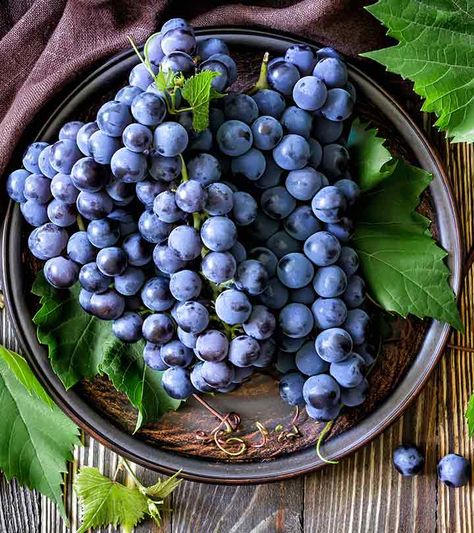 10 Best Benefits Of Black Grapes For Skin, Hair And Health Fruit Nutrition Facts, Grape Seeds, Grapes Benefits, Nutrition Classes, Nutrition Certification, Black Grapes, Natural Sunscreen, Fruit Seeds, Grape Juice