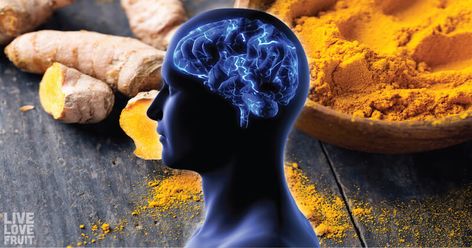 This Is How Your Brain Physically Changes After Consuming Raw Turmeric (You’ll Be Shocked!) Raw Turmeric, Health Benefits Of Turmeric, Dandelion Benefits, Turmeric Drink, Curcumin Supplement, Benefits Of Turmeric, Turmeric Smoothie, Human Nutrition, Turmeric Health Benefits