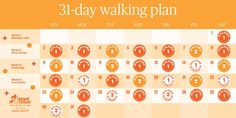 31 Day Walking Workout With Strength Training and Stretching 31 Day Walking Challenge, Walking Routine, Walking Workouts, Health Benefits Of Walking, Walking Challenge, Walking Plan, Walking Workout, Strength Training Routine, Change Of Seasons