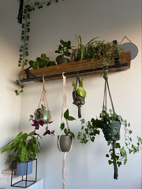 Hanging Shelves Ideas, Bedroom Plant Ideas, Plants Bedroom, Lego Room Decor, Hanging Indoor Plants, Houseplants Decor, Hanging Plant Wall, Bedroom Plants, Plant Stand Indoor