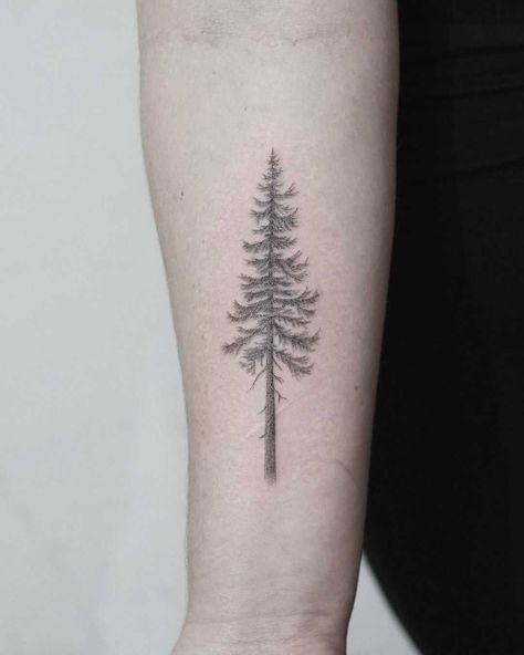 Douglas Fir Tattoo, Tree Line Tattoo, Henna Tattoo Foot, Tree Tattoo Meaning, Pine Tattoo, Tree Tattoo Forearm, Pine Tree Tattoo, Cool Arm Tattoos, Fantasy Tattoos