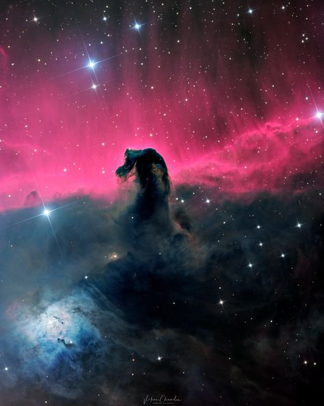 Horror Cosmico, Silent Sky, Horsehead Nebula, Future Tattoo Ideas, Astronomy Pictures, Biblical Paintings, Hubble Images, Nebulas, Space Universe