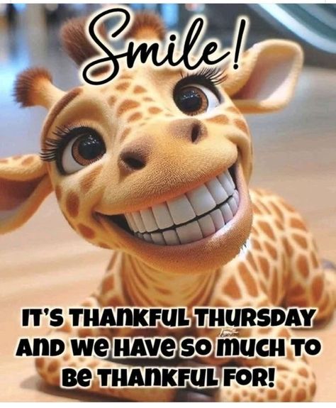 Happy Thursday my friends  🖤🧡❤️🧡❤️🧡🖤    . #LifeLessons #JourneyOfLife #Inspiration #ThatsLife #DailyDoseOfInspiration #Motivation #Encouragement #QuotesByCatherine #BOOMchallenge Happy Thursday Morning, Coffee Quotes Morning, Mafia 3, Happy Thursday Quotes, Happy Day Quotes, Funny Day Quotes, So Relatable, Good Morning Thursday, Inspirational Life Lessons