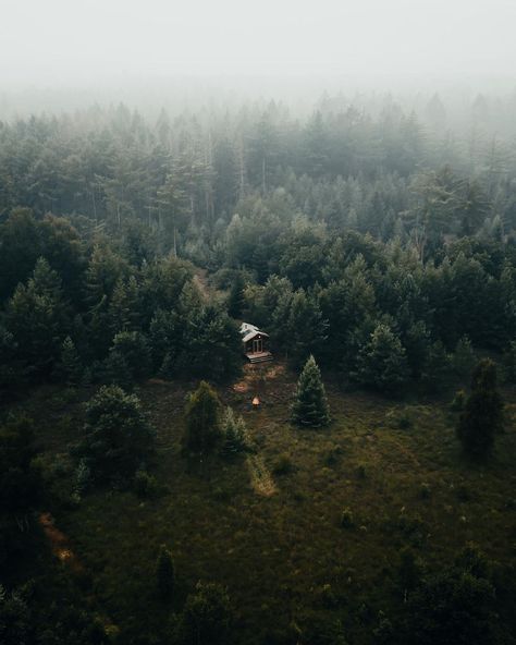 SJOERD | Travel Photography on Instagram: “Somewhere, in the middle of nowhere!🌲 It was an amazing experience to spend a night in this cabin. And yes, this is in The Netherlands!…” In The Middle Of Nowhere, Middle Of Nowhere, Rustic Cabin, My Dream Home, Night In, In The Middle, The Netherlands, The Middle, Netherlands