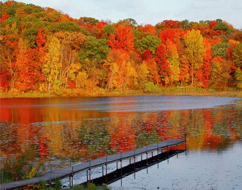 falls in minnesota | fall i love fall everywhere but minnesota falls are perfect maybe it ... Minnesota Home, Autumn Beauty, Fall Pictures, Fall Weather, Fall Photos, Still Water, Pics Art, Autumn Trees, Fall Foliage