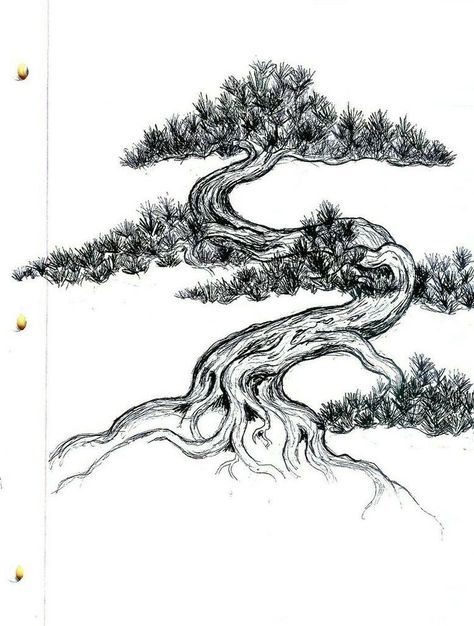 Bonsai Tattoo, Bonsai Drawing, Bonsai Tree Tattoos, Japanese Bonsai Tree, Tree Sketch, Tree Outline, Tree Drawings Pencil, Tree Tattoo Designs, Japanese Bonsai