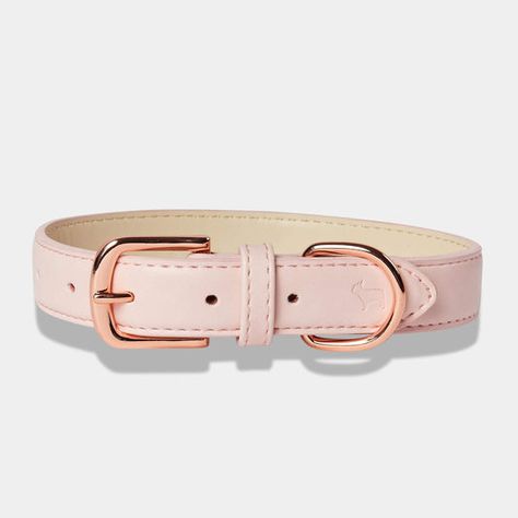 Gold Dog Collar, Pink Dog Collar, Dog Walking Accessories, Velvet Dog Collar, Vegan Dog, Luxury Dog Collars, Purple Blush, Pink Puppy, Designer Dog Collars