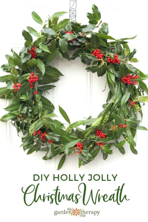 A Very Merry Fresh Holly Wreath for Christmas. The leaves may be a bit prickly but they are worth a few bandages for the final result of this easy-to-make fresh holly wreath. #gardentherapy #christmaswreaths #holly Christmas Imagery, Evergreen Wreaths, Wreath For Christmas, Horse Wreaths, Holly Decorations, Decorate For Christmas, Garden Therapy, Diy Herb Garden, Christmas Houses