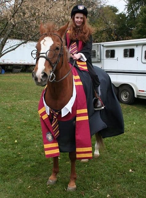 Not quite as awesome as the Pebbles (me, complete with bone through teased hair) and Dee-no (the whole pony, dinosaur tail included) costume my mum made back when I used to compete in horse shows, fancy dress included. Though if Harry Potter had been out then, I would totally have done this. Horse Halloween Ideas, Horse Fancy Dress, Harry Potter Kostüm, Horse Halloween Costumes, Cute Horse Pictures, Harry Potter Cosplay, Horse Costumes, Horse Dress, Funny Horses