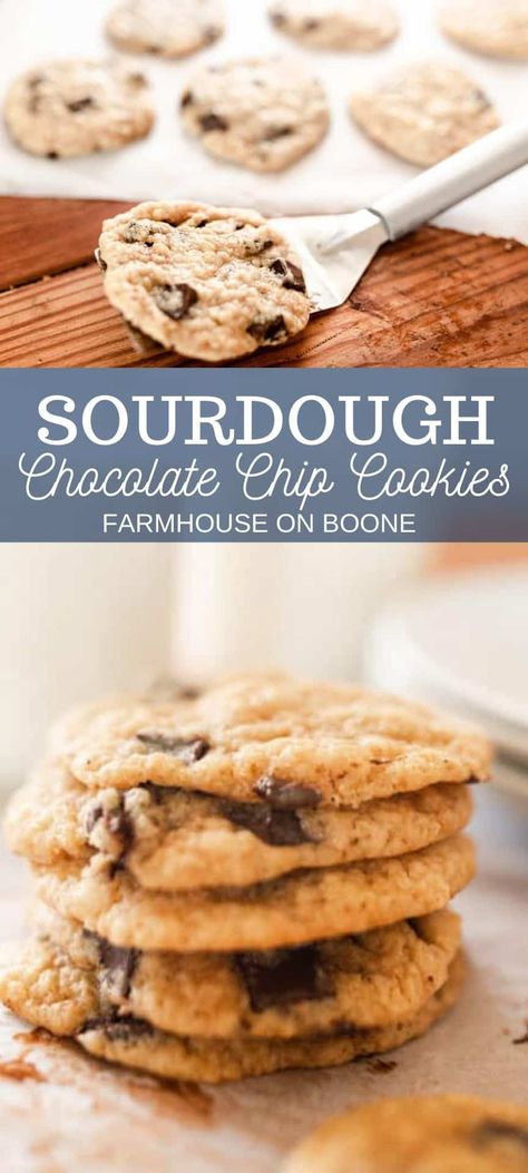 Long Ferment Sourdough Recipes, Long Fermented Sourdough Cookies, Long Fermented Sourdough Recipes, Sourdough Chocolate Chip Cookies, Farmhouse On Boone, Recipe Using Sourdough Starter, Sourdough Starter Discard Recipe, Ga Bulldogs, Homemade Sourdough Bread