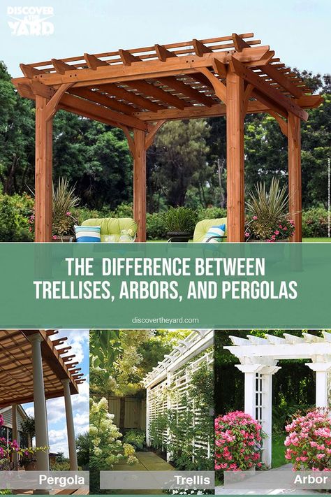 The Difference between Trellises, Arbors, and Pergolas. #discovertheyard #trellis #arbor #pergola #backyard #unitedstatesofamerica Garden Arbors And Trellises, Arbors And Pergolas, Trellis Arbor, Pergola Backyard, Arbors Trellis, Garden Arbor, Outdoor Settings, Arbor, Pergola