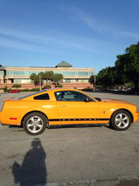 My 07' grabber orange mustang!! Sn95 Mustang, Mustang Girl, Custom Cars Paint, Mustang Fastback, Mustang Cars, Mustang Shelby, Ghost Rider, Chevy Camaro, Car Painting