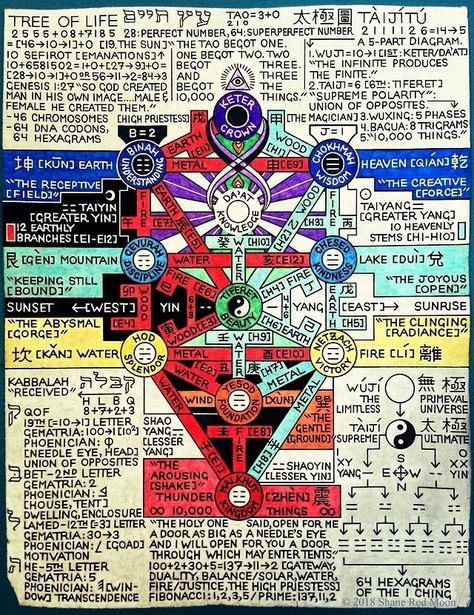 The Tree of Life Diagram | Sacred science, Tree of life, Mystery school Tree Of Life Yggdrasil, Kabala Tree Of Life, Kabbalah Tree Of Life, Tree Of Life Pictures, Seven Stars, Esoteric Symbols, Sacred Science, Occult Science, Sacred Geometry Symbols