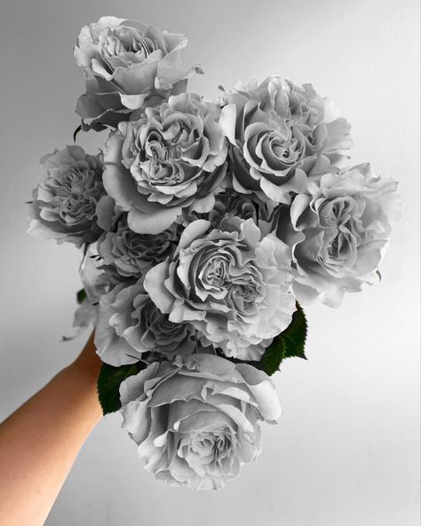 Gray Things, Grey Moodboard Aesthetic, Grey Flowers Aesthetic, Gray Flowers Wallpaper, Gray Roses, Gray Flowers Aesthetic, Grey Themed Wallpaper, Grey Roses Aesthetic, Blue Grey Flowers Aesthetic