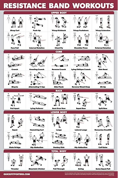 QuickFit Exercise Ball Workout Poster - Stability Ball Routine - Balance Ball - Laminated - 18" x 27", Fitness Planners - Amazon Canada Workout Recommendations, Wall Exercise, Exercise Poster, Body Squats, Fitness Weights, Band Training, Resistance Training Workouts, Resistance Band Workouts, Band Exercise