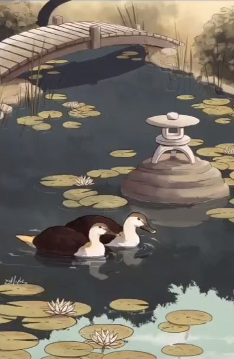 Turtle Duck Avatar Wallpaper, Turtle Duck Wallpaper, Atla Backgrounds, Wallpaper Shuffle, Turtle Duck, Avatar Wallpaper, Avatar Ang, Atla Memes, Duck Wallpaper