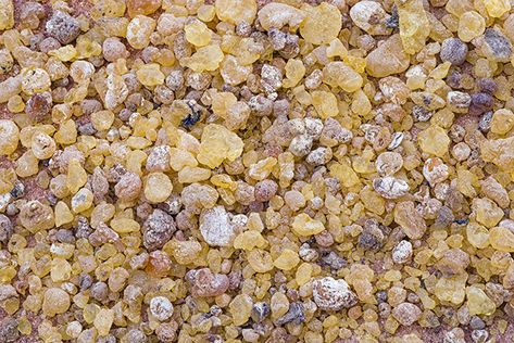 Boswellia is a large, hardy tree native to India, Northern Africa, and the Middle East. The tree trunk is valued for ... Northern Africa, Nutritional Cleansing, Nutrition Certification, Health Heal, Nutrition Program, Herbal Extracts, Alternative Health, The Middle East, Nutritional Supplements